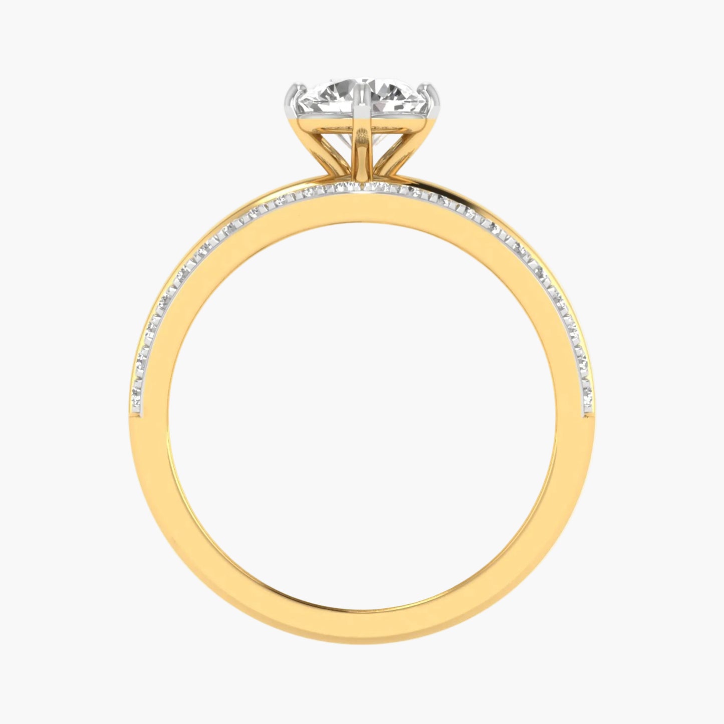 Two Bands Encircle Diamond Ring