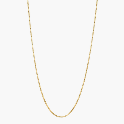 A delicate gold chain necklace with a small lobster clasp, displayed in a U-shape against a clean white background.