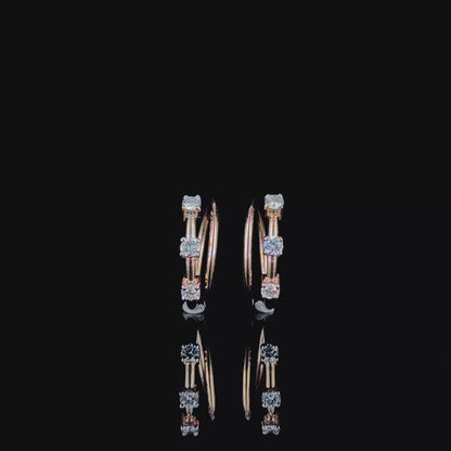 Double Piercing Effect Diamond Earrings